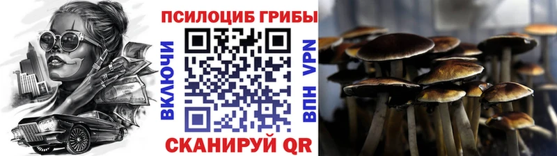 Псилоцибиновые грибы прущие грибы  Медынь 